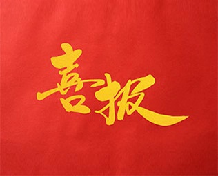 喜報(bào)|伊視貝項(xiàng)目入選政府重點(diǎn)攻關(guān)項(xiàng)目庫(kù)